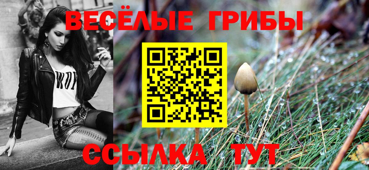 наркота  Псилоцибиновые грибы Psilocybe  Вход с VPN  Янаул 